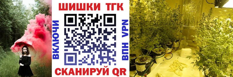 Наркотические вещества Павловск Псилоцибиновые грибы  ГАШИШ  Бошки Шишки  Метамфетамин  Cocaine 