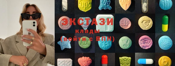 Альфа ПВП Верея