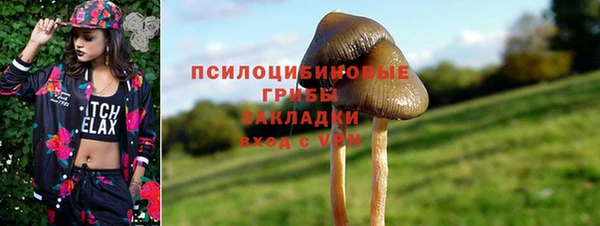 мескалин Верхний Тагил