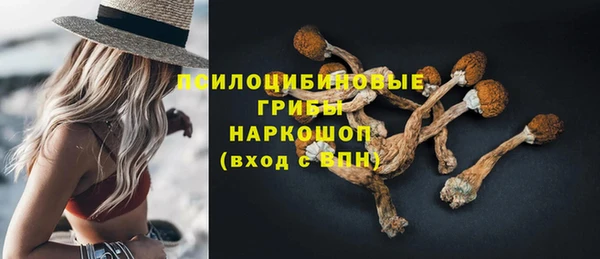 Альфа ПВП Верея