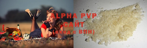 Альфа ПВП Верея