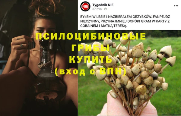 Альфа ПВП Верея