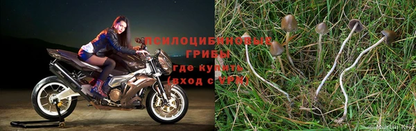 мескалин Верхний Тагил