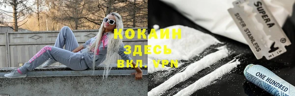 Альфа ПВП Верея